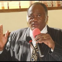  Joseph Owona diagnostique la décentralisation