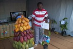 La révolution verte du cacao  