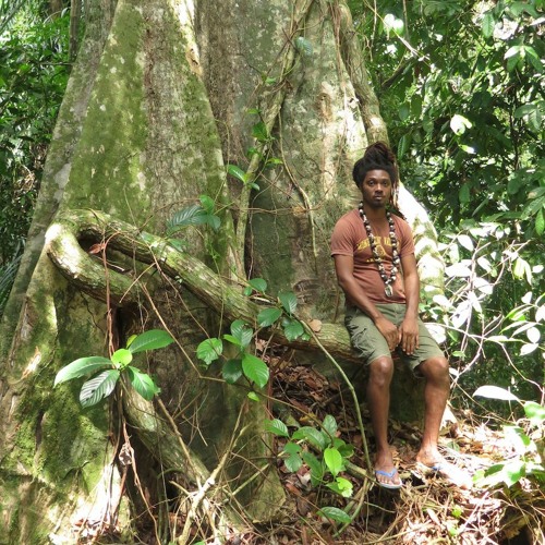 Stream The Cameroon-Cuba Connection by Afropop Worldwide | Listen online for free on SoundCloud